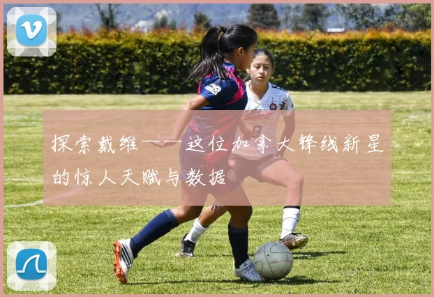 探索戴维——这位加拿大锋线新星的惊人天赋与数据