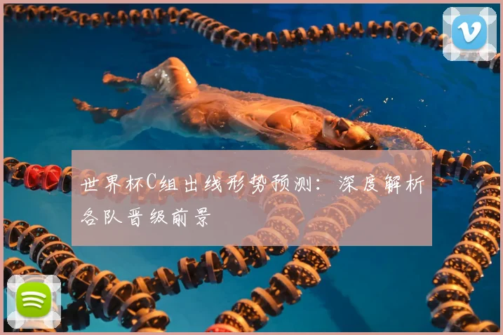 世界杯C组出线形势预测：深度解析各队晋级前景