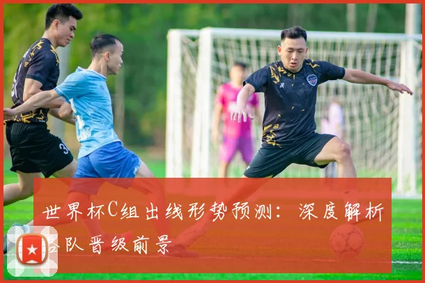 世界杯C组出线形势预测:深度解析各队晋级前景